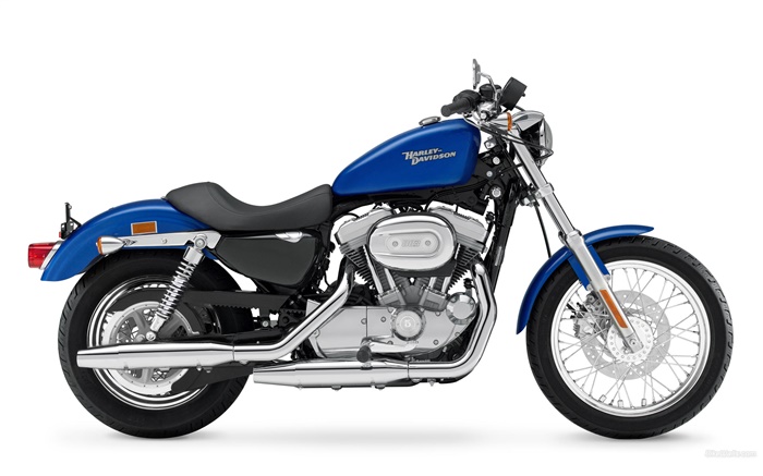 Harley-Davidson 883 motocicleta, azul y negro Fondos de pantalla, imagen