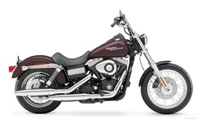 Harley-Davidson motocicleta clásica
