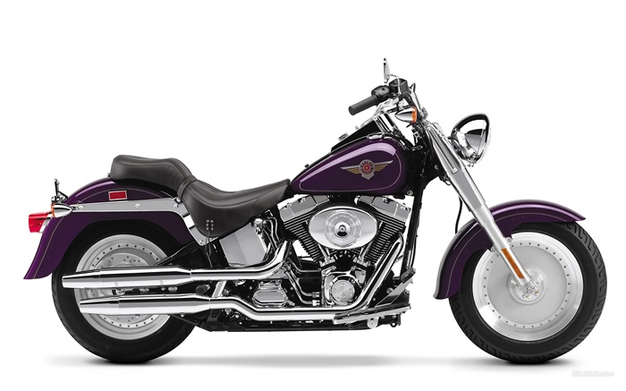 motocicleta Harley-Davidson, Fatboy Fondos de pantalla, imagen