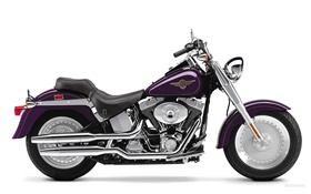 motocicleta Harley-Davidson, Fatboy HD fondos de pantalla