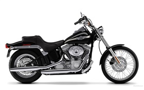 motocicleta Harley-Davidson, SOFTAIL HD fondos de pantalla