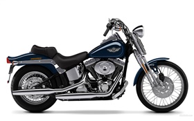 motocicleta Harley-Davidson, Springer Softail HD fondos de pantalla