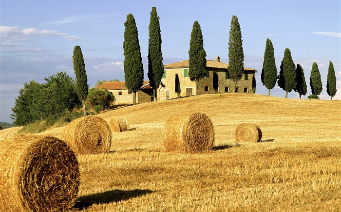 Haystacks, campos, casas, árboles, Italia Fondos de pantalla, imagen