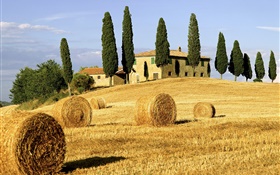 Haystacks, campos, casas, árboles, Italia HD fondos de pantalla