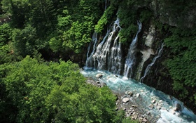 Hokkaido, Japón, cascadas, arroyo, acantilado, plantas