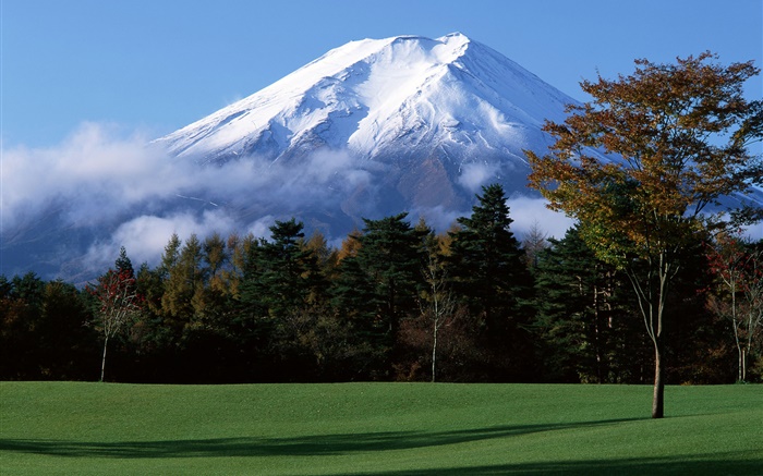 de Japón Monte Fuji, nieve, árboles, hierba, niebla Fondos de pantalla, imagen