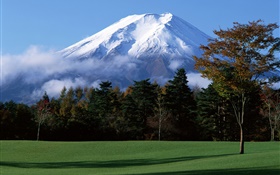 de Japón Monte Fuji, nieve, árboles, hierba, niebla HD fondos de pantalla