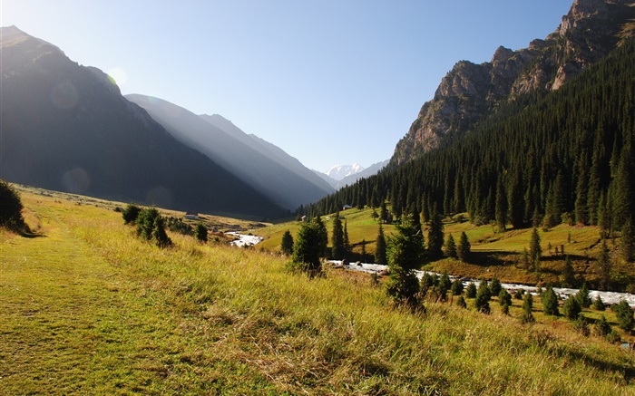 Kirguistán, bosque, árboles, montañas, mañana, césped, río Fondos de pantalla, imagen