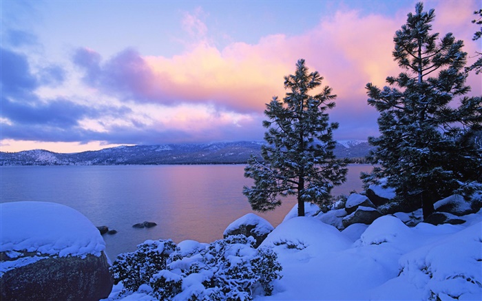 Lago Tahoe, invierno, nieve, árboles, oscuridad, EE.UU. Fondos de pantalla, imagen