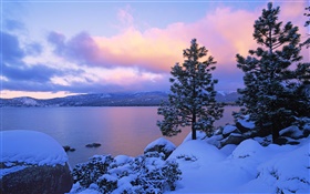Lago Tahoe, invierno, nieve, árboles, oscuridad, EE.UU.