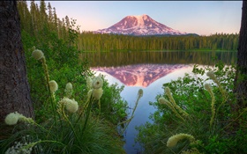 Lago, montaña, hierba, árboles, reflexión, amanecer HD fondos de pantalla
