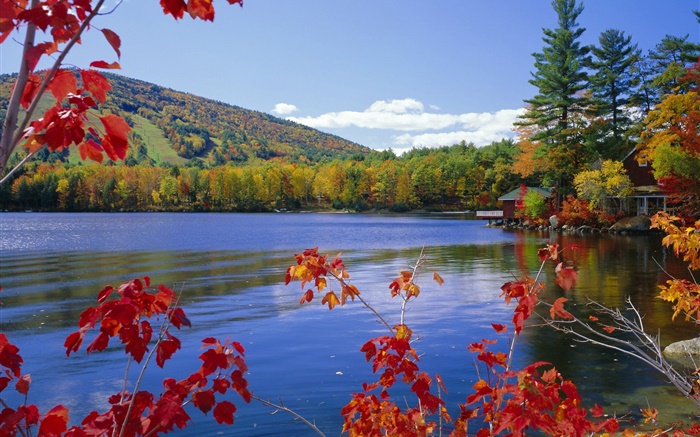Lago, árboles, casa, otoño Fondos de pantalla, imagen