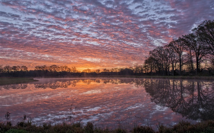 Louisiana EE.UU., río, orilla, la reflexión del agua, árboles, nubes, puesta del sol Fondos de pantalla, imagen