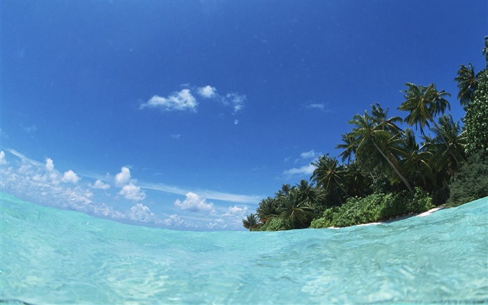 Maldivas, el azul del mar, el agua, la isla Fondos de pantalla, imagen
