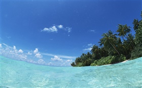 Maldivas, el azul del mar, el agua, la isla HD fondos de pantalla