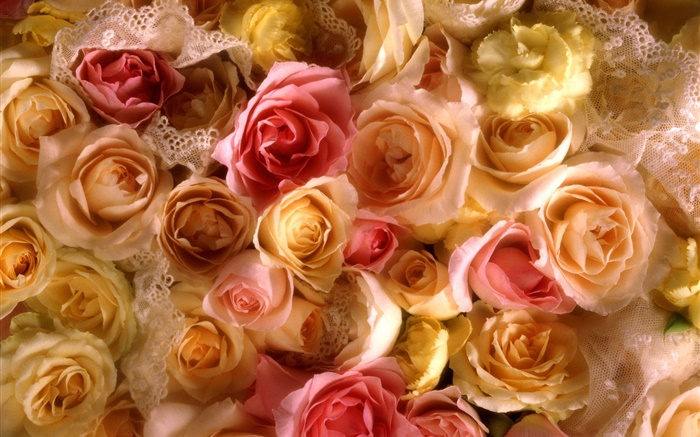 Muchas flores de rosa, amarillo y rosa Fondos de pantalla, imagen