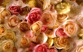 Muchas flores de rosa, amarillo y rosa HD fondos de pantalla