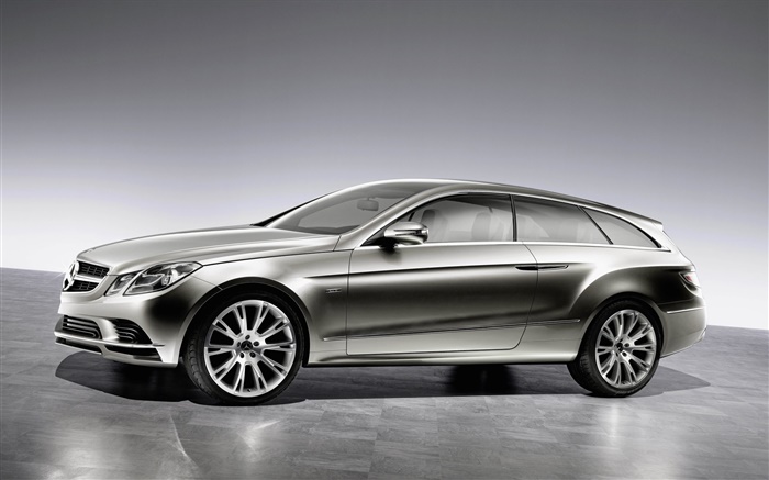 Mercedes-Benz coche de plata vista lateral Fondos de pantalla, imagen