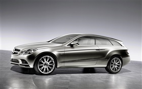 Mercedes-Benz coche de plata vista lateral HD fondos de pantalla