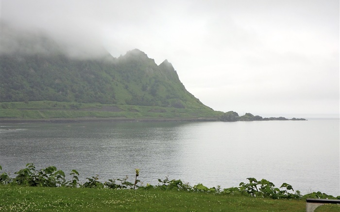 Mañana, niebla, montañas, mar, costa, hierba, Hokkaido, Japón Fondos de pantalla, imagen