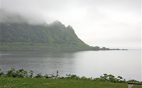 Mañana, niebla, montañas, mar, costa, hierba, Hokkaido, Japón HD fondos de pantalla
