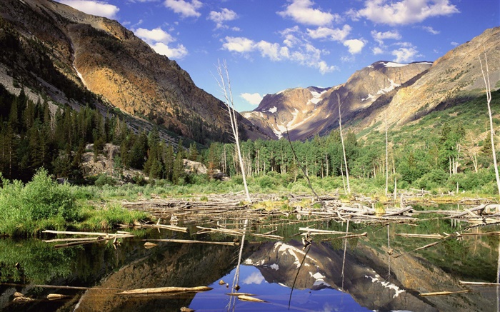 Montañas, bosques, árboles, lago, la reflexión del agua Fondos de pantalla, imagen