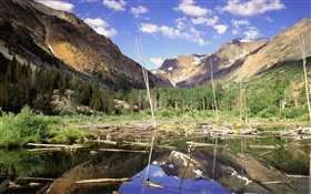 Montañas, bosques, árboles, lago, la reflexión del agua HD fondos de pantalla