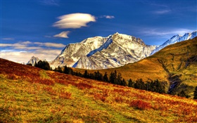 Montañas, hierba, árboles, otoño, cielo azul HD fondos de pantalla