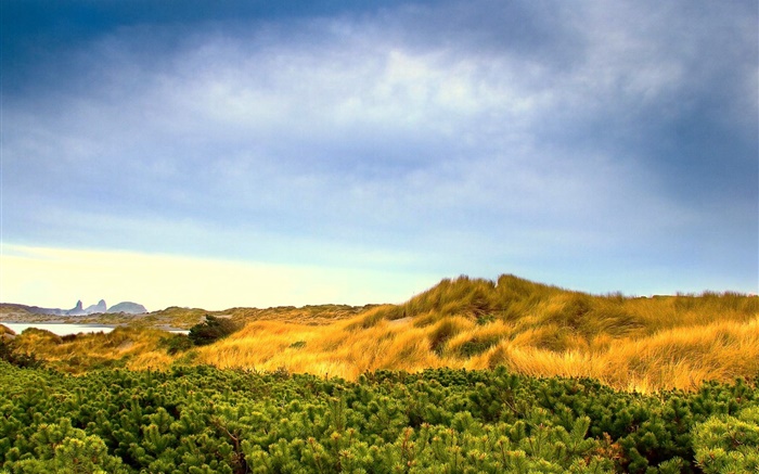 paisaje de la naturaleza, hierba, cielo azul, nubes Fondos de pantalla, imagen