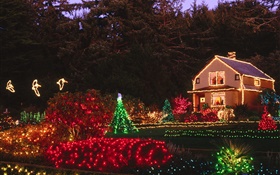 Noche, luces de colores, casa, Navidad HD fondos de pantalla