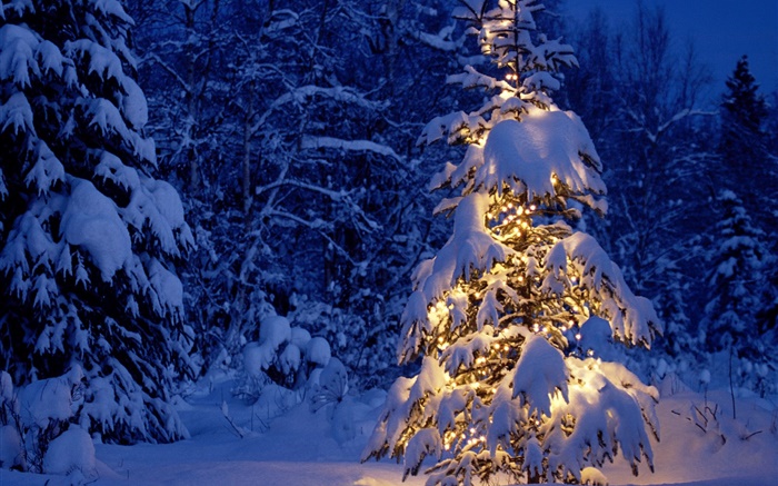 Noche, árboles, luces, nieve espesa, Navidad Fondos de pantalla, imagen