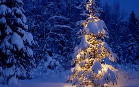 Noche, árboles, luces, nieve espesa, Navidad