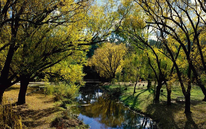Parque, río, árboles, Australia Fondos de pantalla, imagen