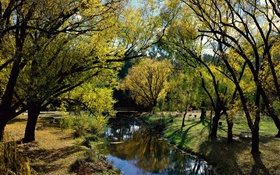 Parque, río, árboles, Australia HD fondos de pantalla