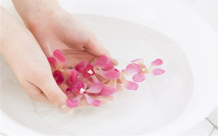 pétalos de flores de color rosa orquídea, el agua, las manos Fondos de pantalla, imagen