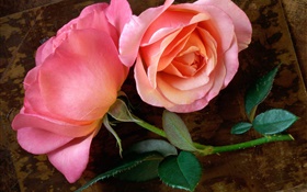 Rosa rosa flor en el tablero de madera