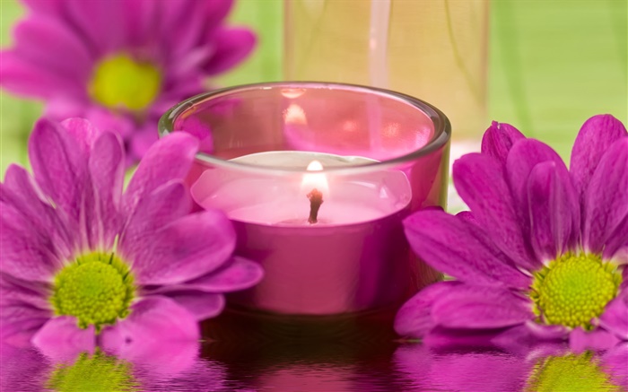 flores de crisantemo púrpura, vela, fuego, tema SPA Fondos de pantalla, imagen