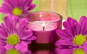 flores de crisantemo púrpura, vela, fuego, tema SPA HD fondos de pantalla