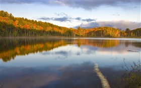 Tranquilo lago, árboles, niebla, mañana, otoño HD fondos de pantalla