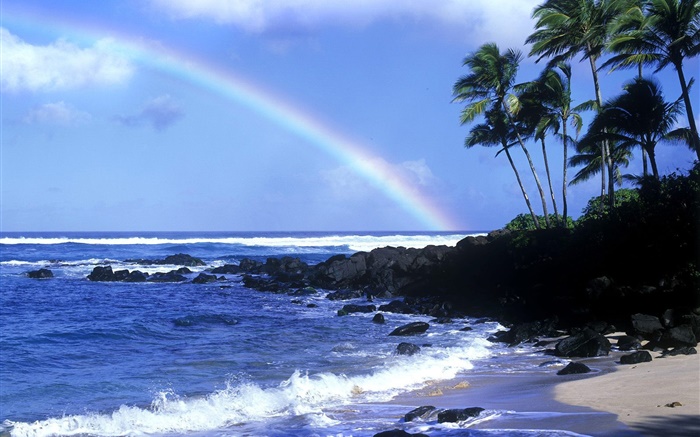 Arco iris, mar azul, costa, palmeras, Hawai, EE.UU. Fondos de pantalla, imagen