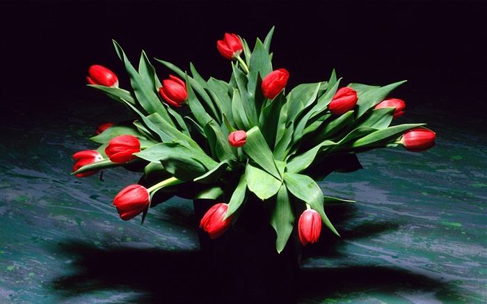flores de tulipán rojo, ramo, florero Fondos de pantalla, imagen