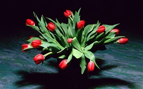 flores de tulipán rojo, ramo, florero
