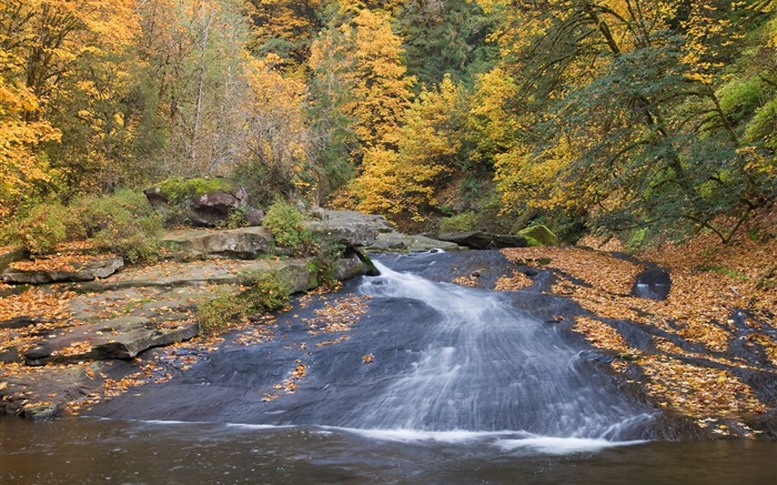 Río, árboles, otoño Fondos de pantalla, imagen