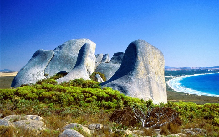 Rocas, hierba, costa, mar azul, Australia Fondos de pantalla, imagen