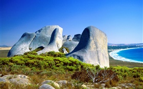 Rocas, hierba, costa, mar azul, Australia HD fondos de pantalla
