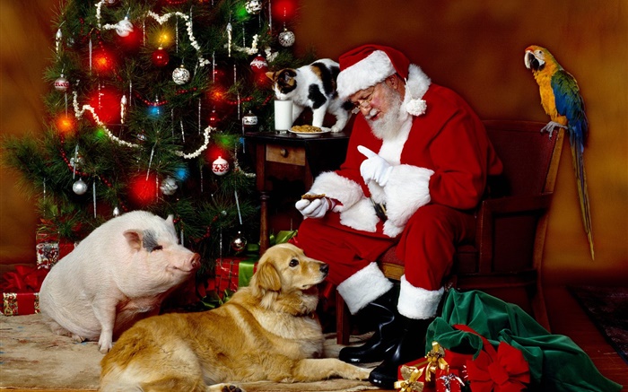 Santa Claus y los animales, las luces de Navidad Fondos de pantalla, imagen