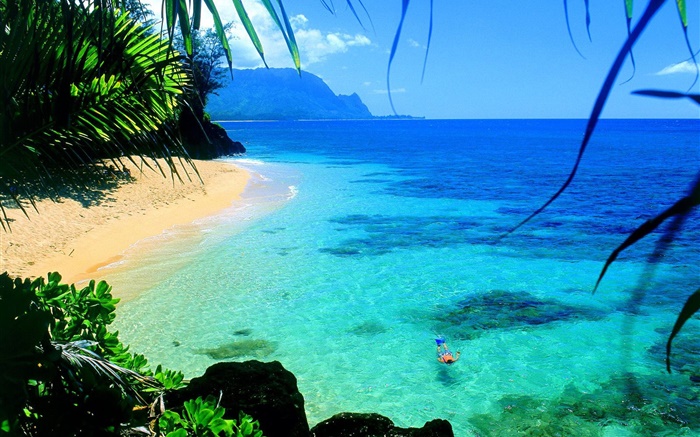 Mar, agua clara, costa, nadar, Hawai, EE.UU. Fondos de pantalla, imagen