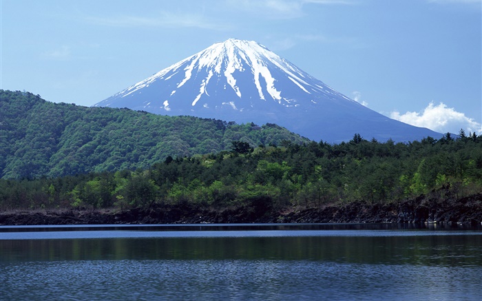 Mar, el bosque, el monte Fuji, Japón Fondos de pantalla, imagen