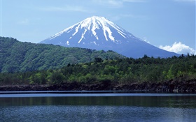 Mar, el bosque, el monte Fuji, Japón HD fondos de pantalla
