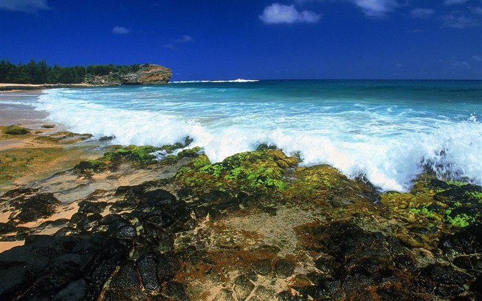 Las olas del mar, costa, oscuridad, Hawai, EE.UU. Fondos de pantalla, imagen